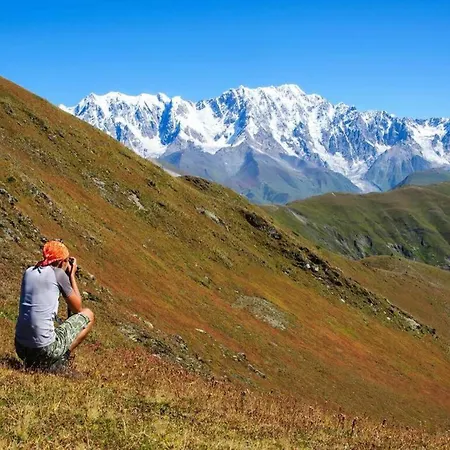 Scenic Retreat W Terrace Quillan