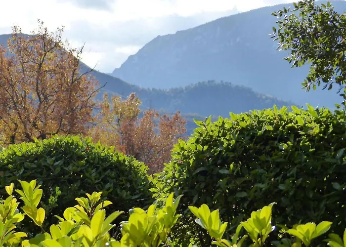 Scenic Retreat W Terrace *